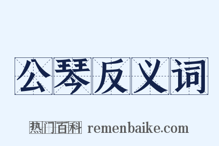 公琴反义词是什么意思的图片